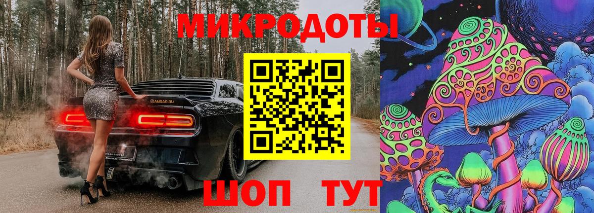 Галлюциногенные грибы Psilocybine cubensis  Вход с VPN  Советск  Галлюциногенные грибы прущие грибы 