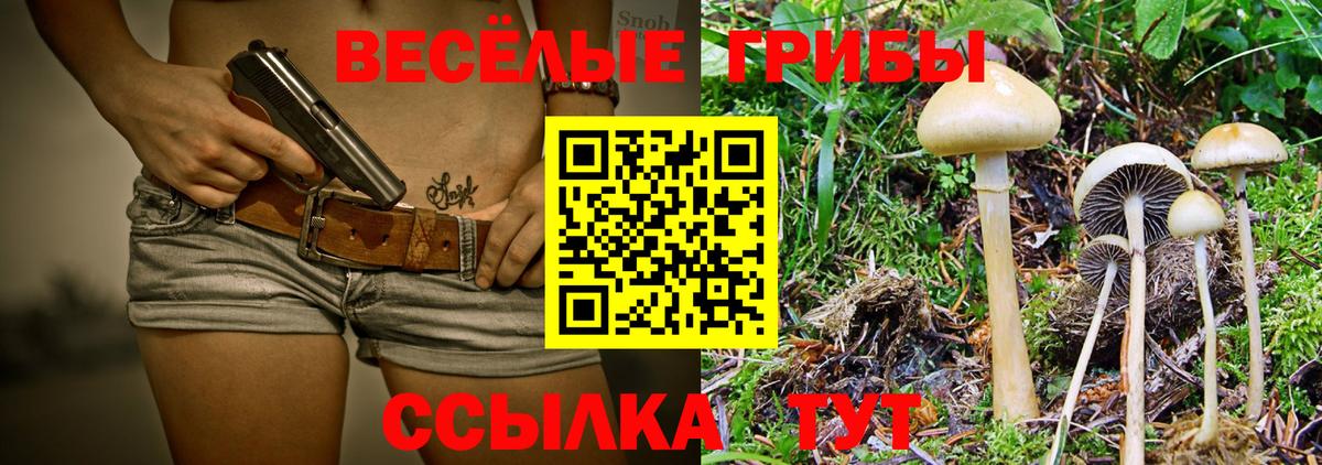 Псилоцибиновые грибы Magic Shrooms Советск
